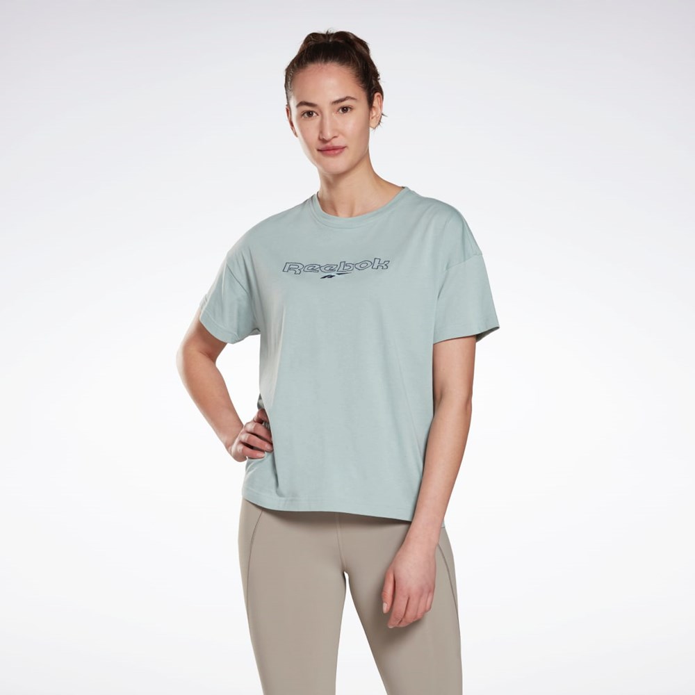 Reebok Brand T-Shirt Šedé | LIPRG0571