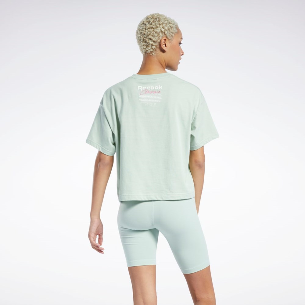 Reebok Classics Summer Grafická T-Shirt Světle | AVYNW7410