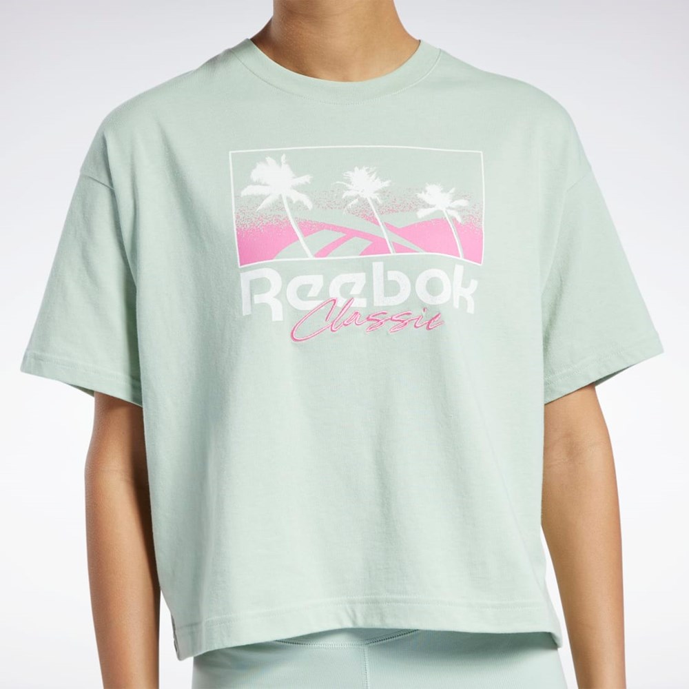 Reebok Classics Summer Grafická T-Shirt Světle | AVYNW7410