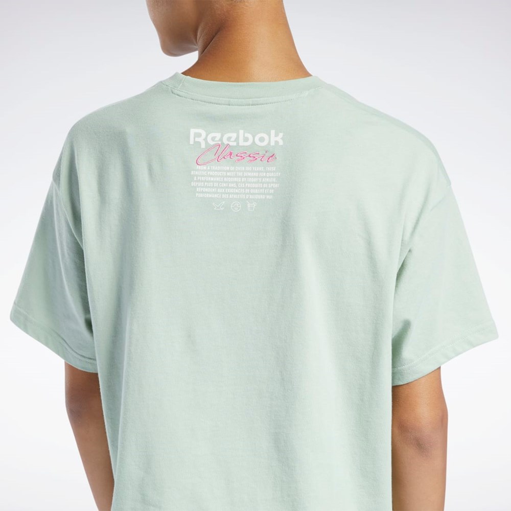 Reebok Classics Summer Grafická T-Shirt Světle | AVYNW7410