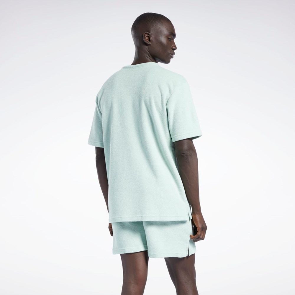 Reebok Classics Terry T-Shirt Světle | DTXUJ2310