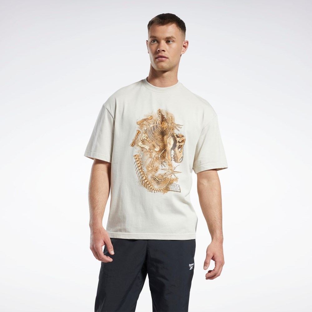 Reebok Jurassic World Fossil T-Shirt Stucco | MEOAL8753