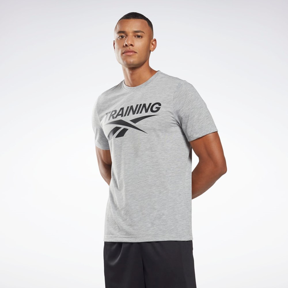 Reebok Reebok Grafická Series T-Shirt Šedé | HJIBX1846