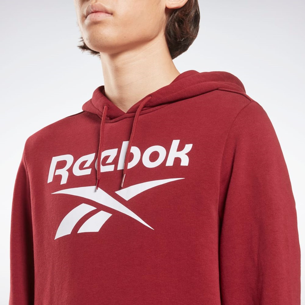 Reebok Reebok Identity Big Logo Hoodie Vínové | JSCTL1548