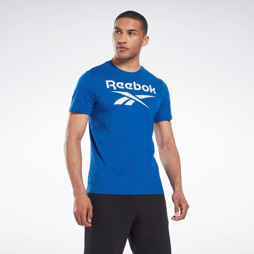 Reebok Reebok Identity Big Logo T-Shirt Blankyt | DGUZX9074