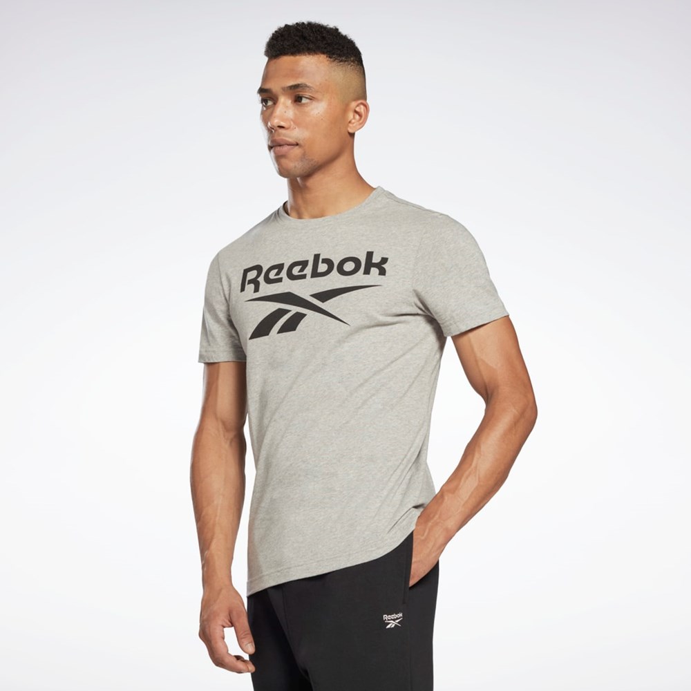 Reebok Reebok Identity Big Logo T-Shirt Šedé | UIMEO9283