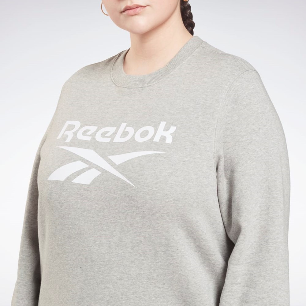 Reebok Reebok Identity Logo Fleece Crew Sweatshirt (Plus Size) Šedé | HERWX1742