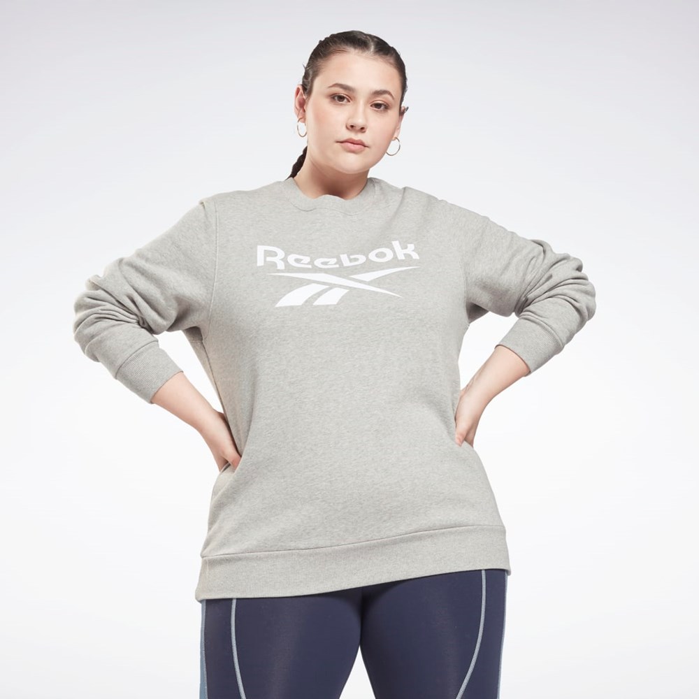 Reebok Reebok Identity Logo Fleece Crew Sweatshirt (Plus Size) Šedé | HERWX1742