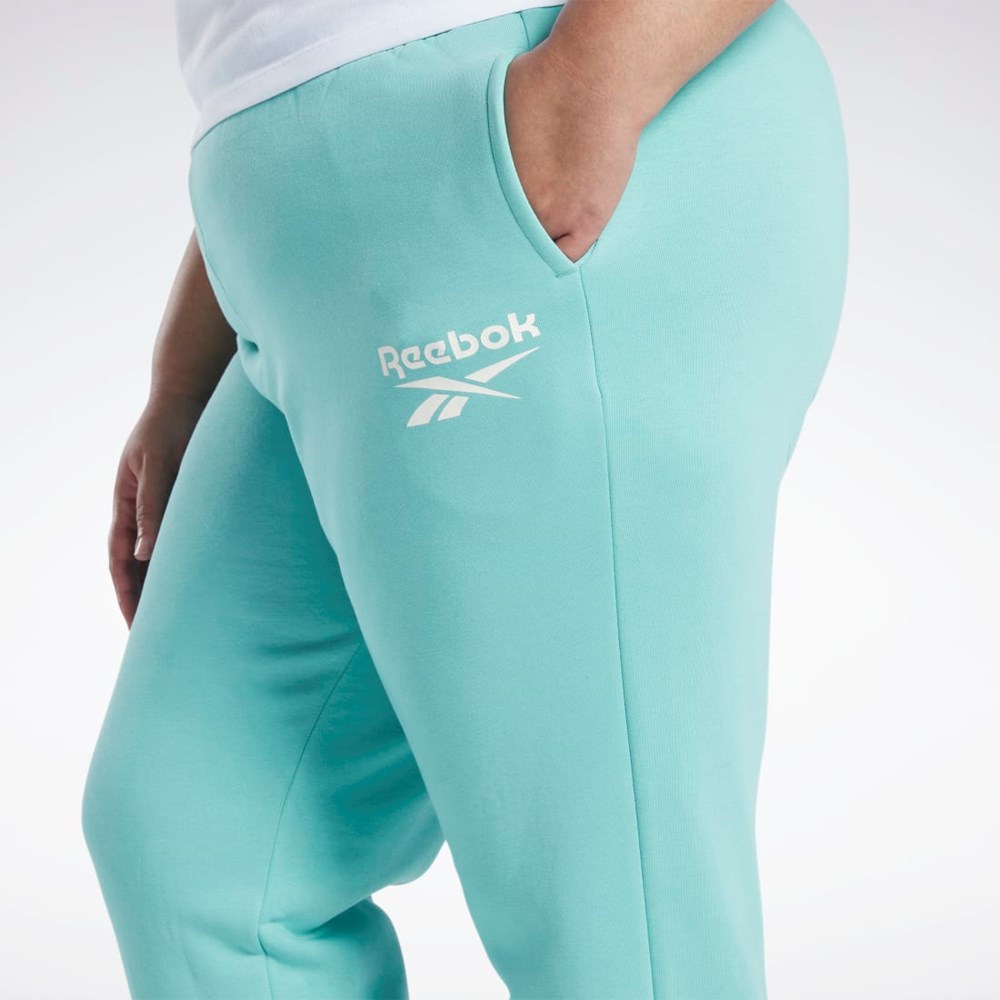 Reebok Reebok Identity Logo Fleece Joggers (Plus Size) Semi Classic Teal | IEAJD1758