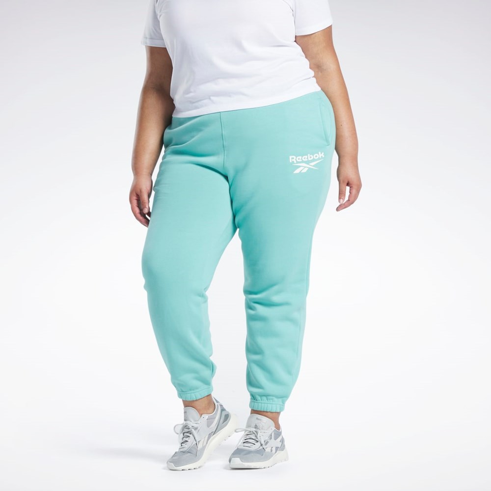 Reebok Reebok Identity Logo Fleece Joggers (Plus Size) Semi Classic Teal | IEAJD1758