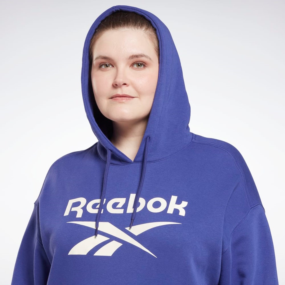 Reebok Reebok Identity Logo Fleece Pullover Hoodie (Plus Size) Fialové | OIRBZ3461