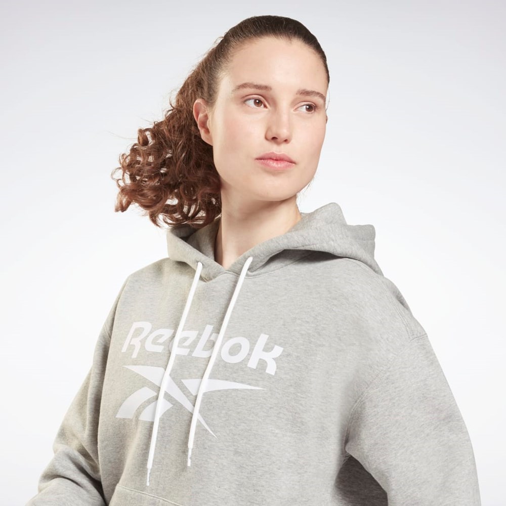 Reebok Reebok Identity Logo Fleece Pullover Hoodie Šedé | SODFW4860