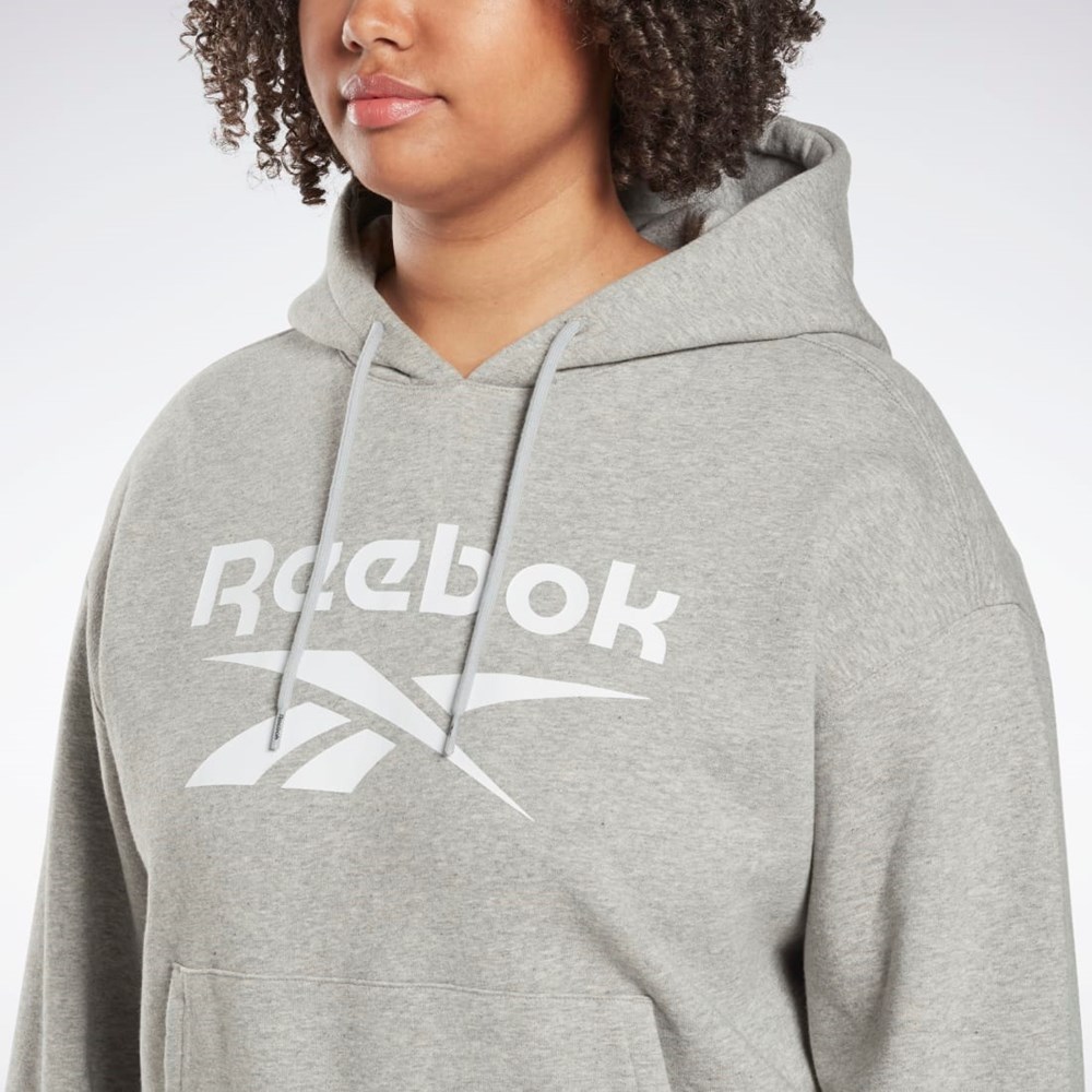 Reebok Reebok Identity Logo Fleece Pullover Hoodie (Plus Size) Šedé | XEHRL6851