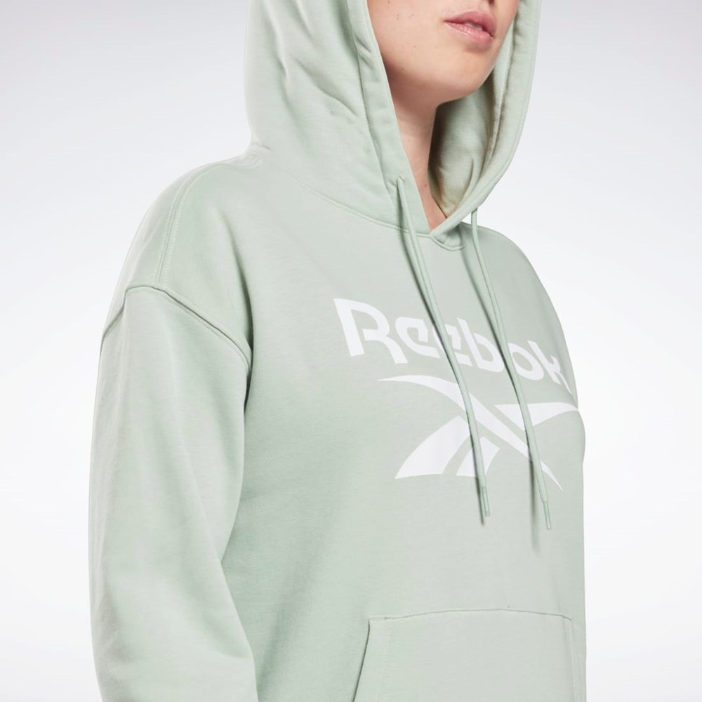 Reebok Reebok Identity Logo French Terry Hoodie Světle | BCVRG9281