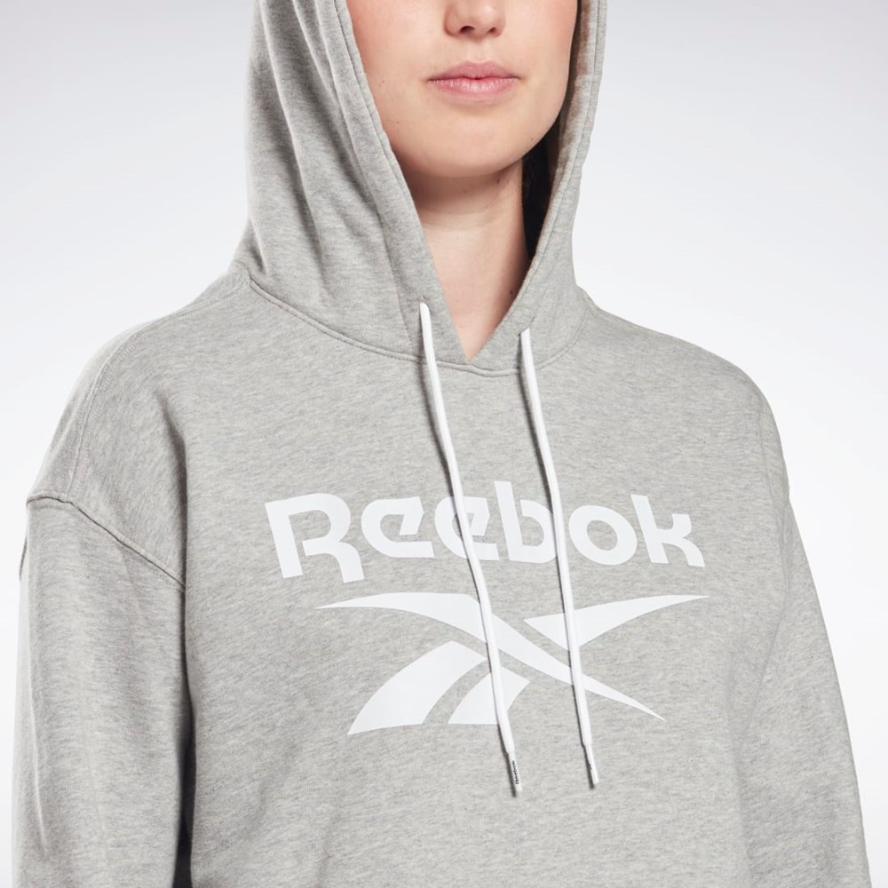 Reebok Reebok Identity Logo French Terry Hoodie Šedé Bílé Bílé | DJUSA5108