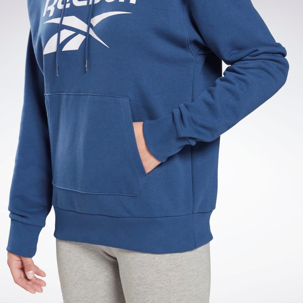 Reebok Reebok Identity Logo French Terry Hoodie Blankyt | RQLAT5619