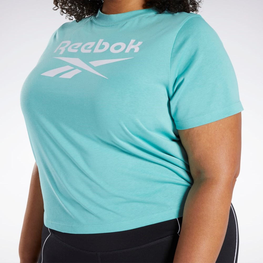 Reebok Reebok Identity T-Shirt (Plus Size) Semi Classic Teal | CZHNT1497