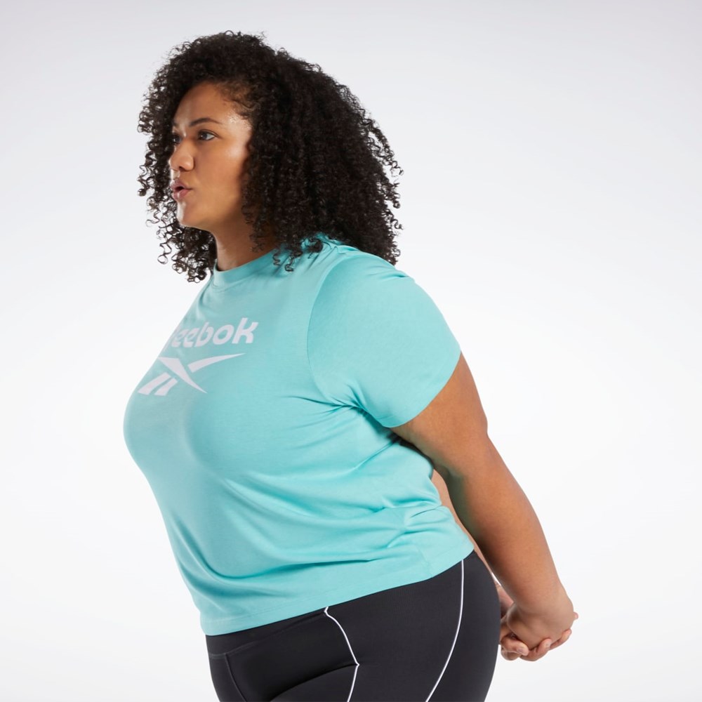 Reebok Reebok Identity T-Shirt (Plus Size) Semi Classic Teal | CZHNT1497