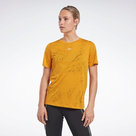 Reebok Burnout T-Shirt Bright Ochre | EMDIW8649