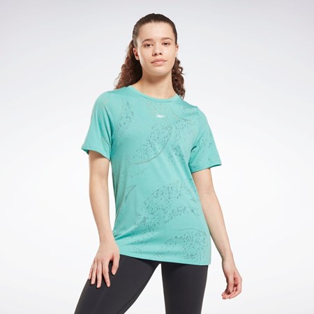 Reebok Burnout T-Shirt Semi Classic Teal | YWATV0326