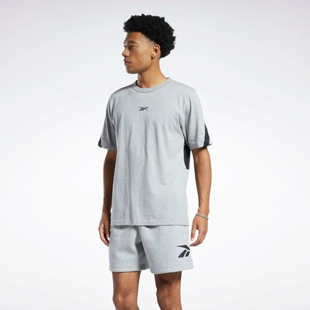 Reebok Classics Brand Proud T-Shirt Šedé | GBZWN1697