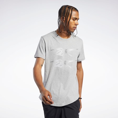 Reebok Classics Grafická Tee Šedé | UCMST7690