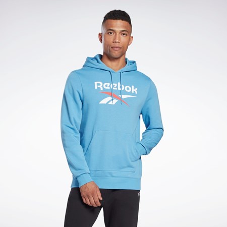 Reebok Reebok Identity Big Logo Hoodie Blankyt | QTWVY6203