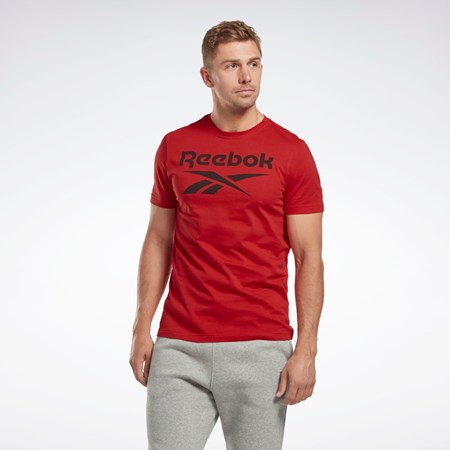 Reebok Reebok Identity Big Logo T-Shirt Červené | CHDNY3106