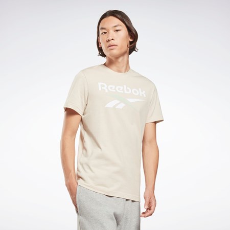 Reebok Reebok Identity Big Logo T-Shirt Stucco | HWGTU8179