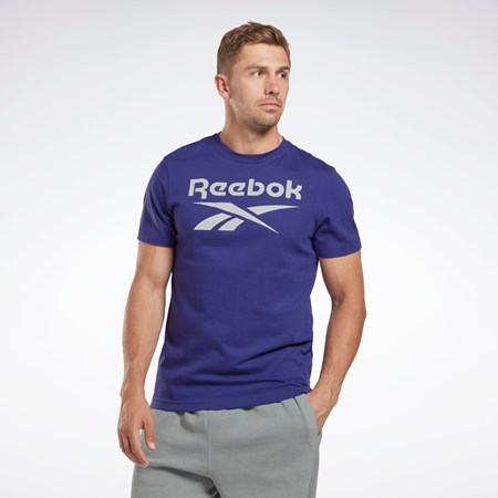 Reebok Reebok Identity Big Logo T-Shirt Fialové | KFCGV0214