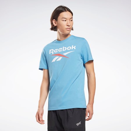 Reebok Reebok Identity Big Logo T-Shirt Blankyt | ROTWG2593