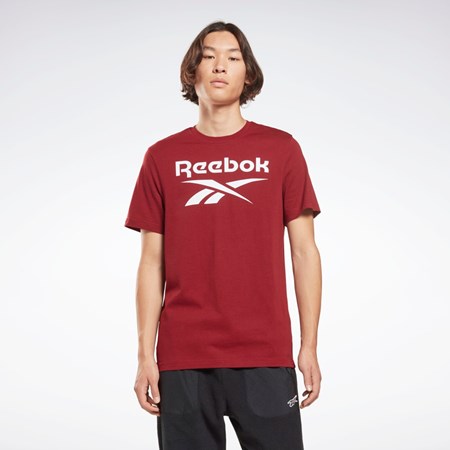 Reebok Reebok Identity Big Logo T-Shirt Vínové | VLWOE3586