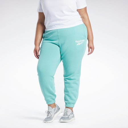 Reebok Reebok Identity Logo Fleece Joggers (Plus Size) Semi Classic Teal | IEAJD1758