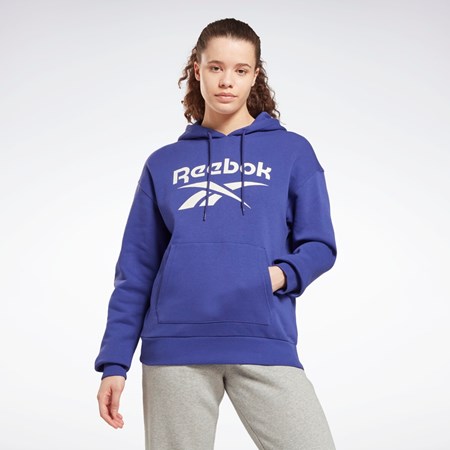 Reebok Reebok Identity Logo Fleece Pullover Hoodie Fialové | BRVTD1683