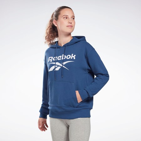 Reebok Reebok Identity Logo French Terry Hoodie Blankyt | RQLAT5619