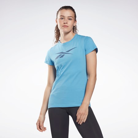 Reebok Tréninková Essentials Vector Grafická Tee Blankyt | PUZBR6749