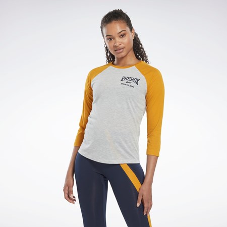 Reebok Workout Ready Baseball T-Shirt Světle Šedé | KDBEO0837