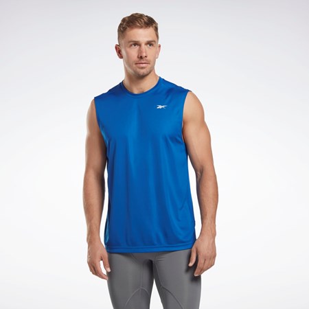 Reebok Workout Ready Bez Rukávů Tech T-Shirt Blankyt | CIEAU2590