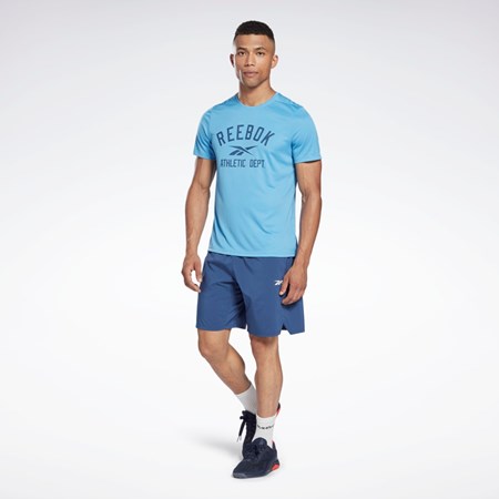 Reebok Workout Ready Grafická T-Shirt Blankyt | PQNFL9725